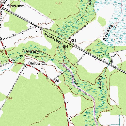Topographic Map of Fork Swamp, NC