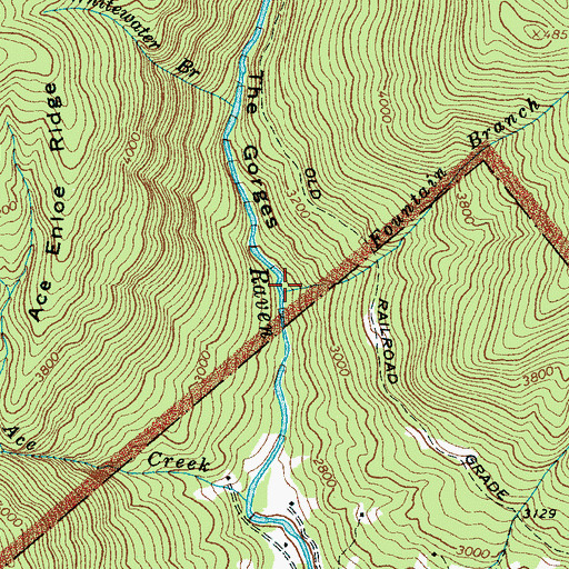 Topographic Map of Fountain Branch, NC