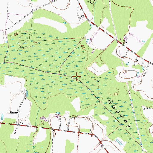 Topographic Map of Gapway Swamp, NC