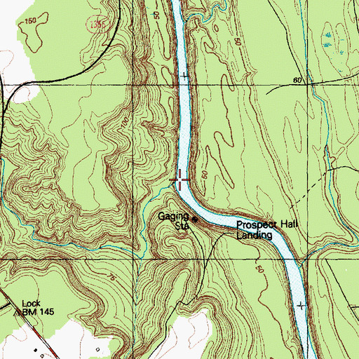 Topographic Map of Georgia Branch, NC