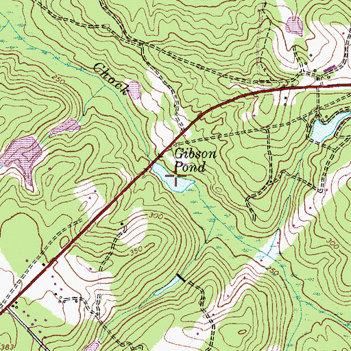 Topographic Map of Gibson Pond, NC