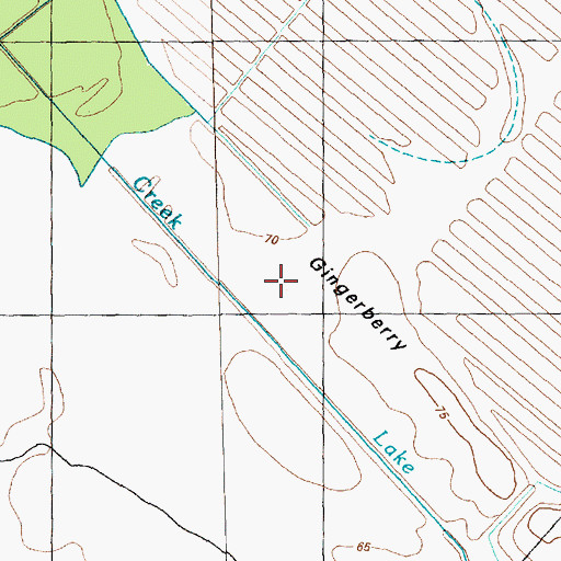 Topographic Map of Gingerberry, NC