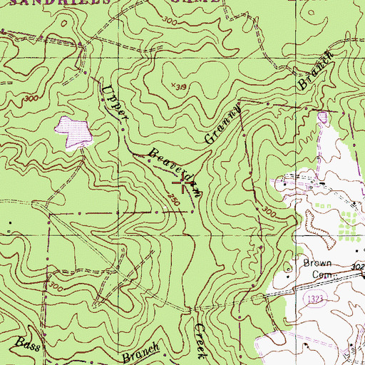 Topographic Map of Granny Branch, NC