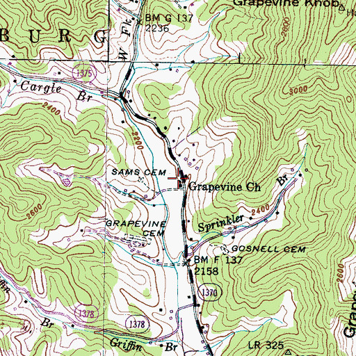 Topographic Map of Grapevine Church, NC