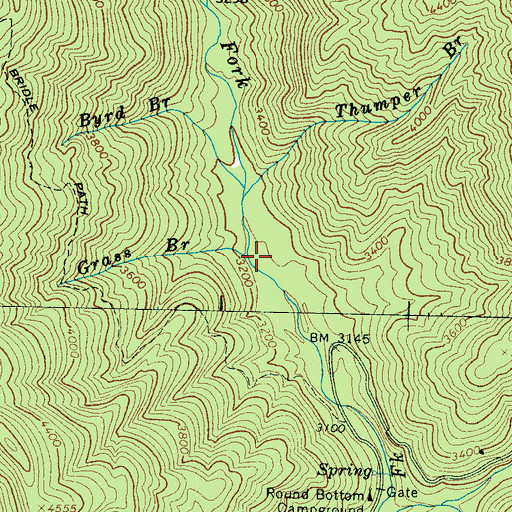 Topographic Map of Grass Branch, NC