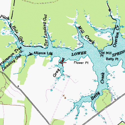 Topographic Map of Gray Gut, NC