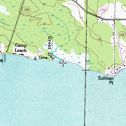 Topographic Map of Great Gut, NC