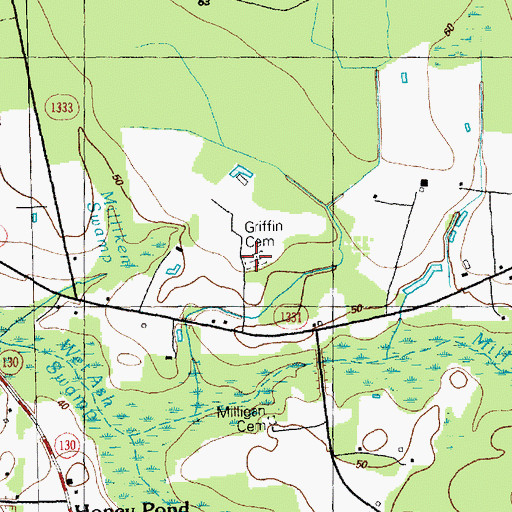 Topographic Map of Griffin Cemetery, NC