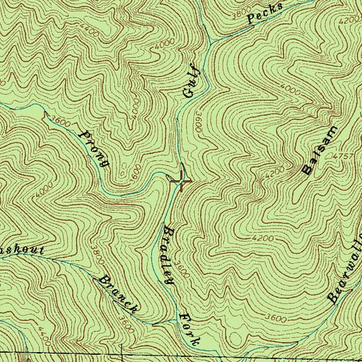 Topographic Map of Gulf Prong, NC