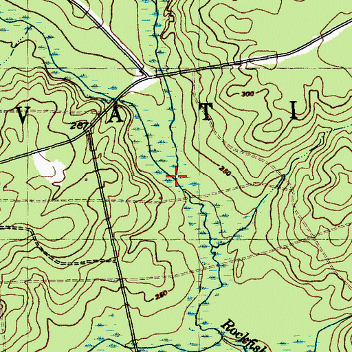 Topographic Map of Gum Branch, NC