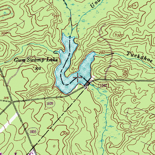 Topographic Map of Gum Swamp Lake, NC