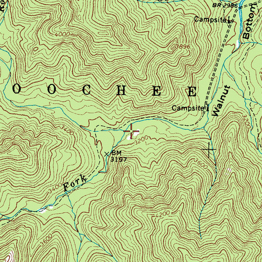 Topographic Map of Gunter Fork, NC