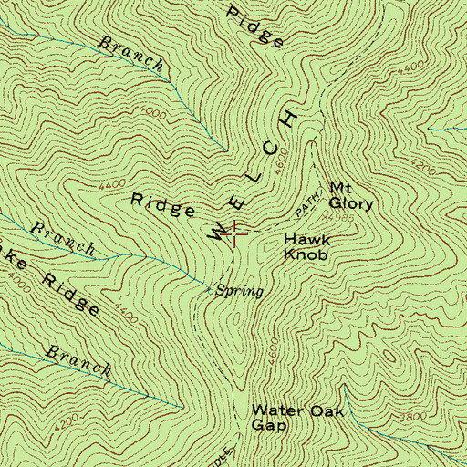 Topographic Map of Hawk Ridge, NC