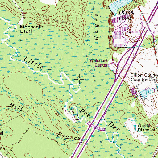 Topographic Map of Hayes Swamp, SC