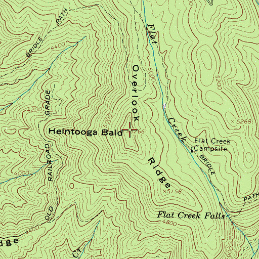 Topographic Map of Heintooga Bald, NC