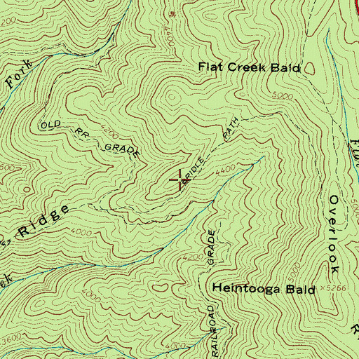 Topographic Map of Heintooga Ridge, NC