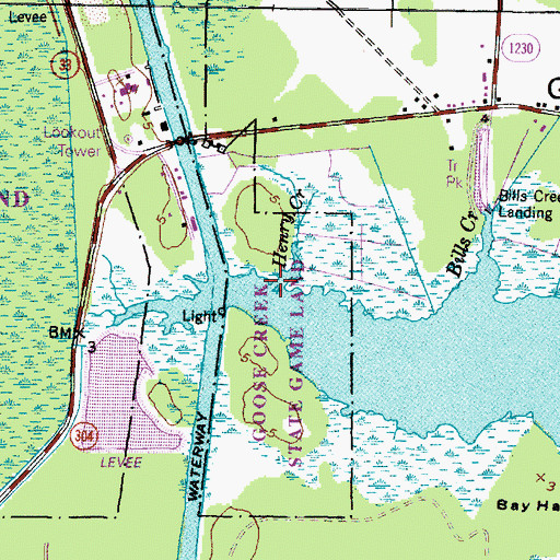 Topographic Map of Henry Creek, NC