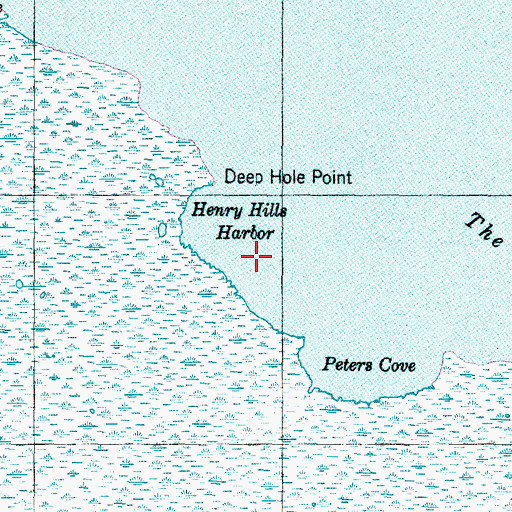 Topographic Map of Henry Hills Harbor, NC