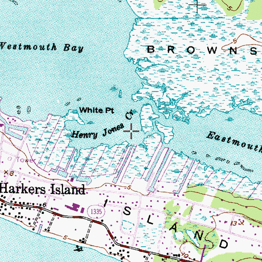 Topographic Map of Henry Jones Creek, NC