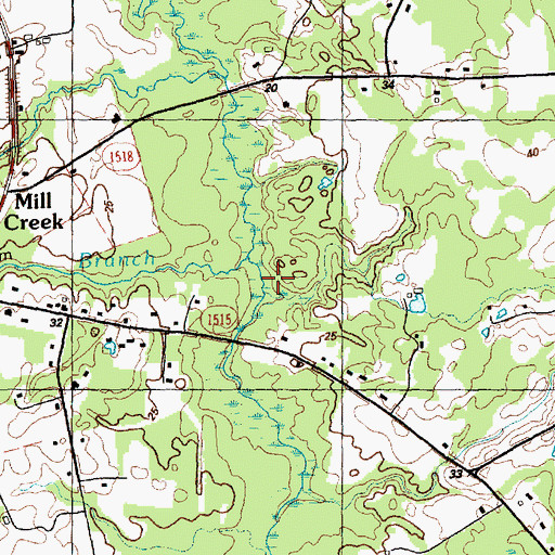 Topographic Map of Hickman Branch, NC