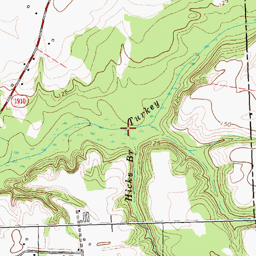 Topographic Map of Hicks Branch, NC