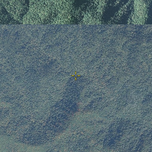 Aerial/Satellite Image of Hideaway Brook, NC
