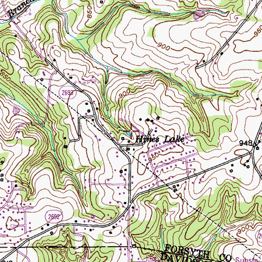Topographic Map of Hines Lake, NC