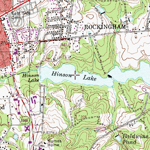 Topographic Map of Hinson Lake, NC