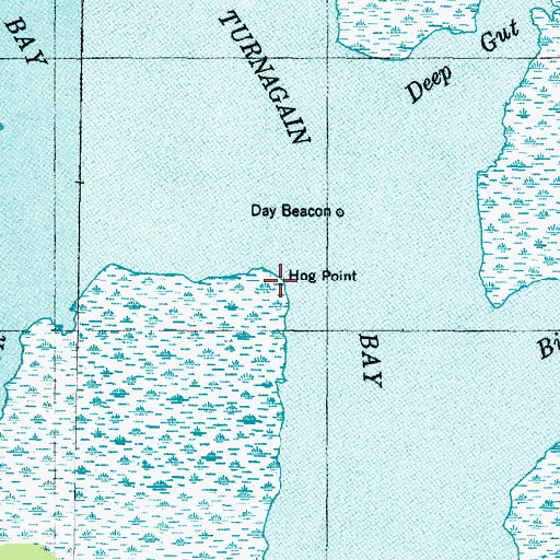 Topographic Map of Hog Point, NC