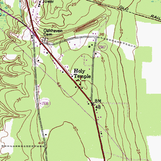 Topographic Map of Holy Temple, NC