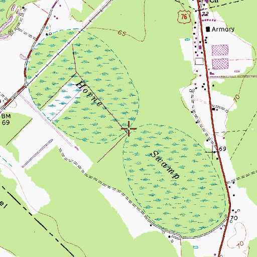Topographic Map of Horne Swamp, NC