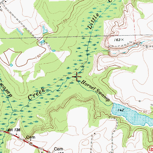 Topographic Map of Hornet Swamp, NC