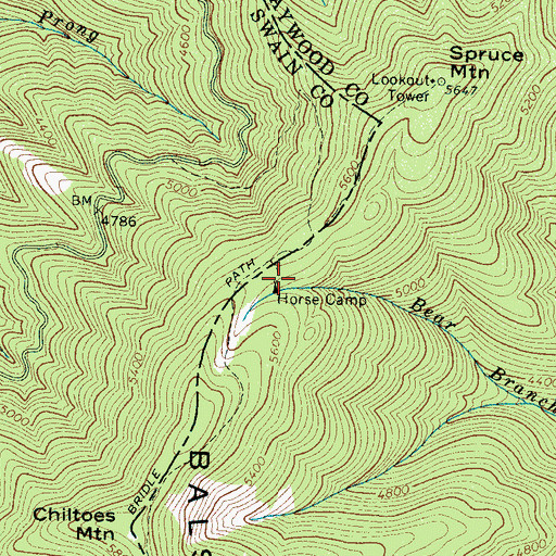 Topographic Map of Horse Camp, NC
