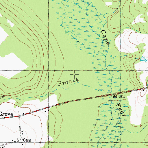 Topographic Map of Horsepen Branch, NC