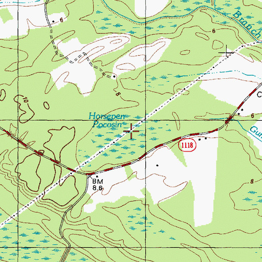 Topographic Map of Horsepen Pocosin, NC