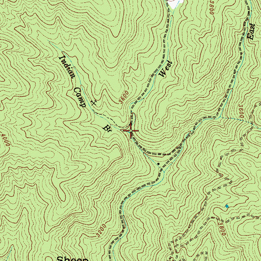Topographic Map of Indian Camp Branch, NC