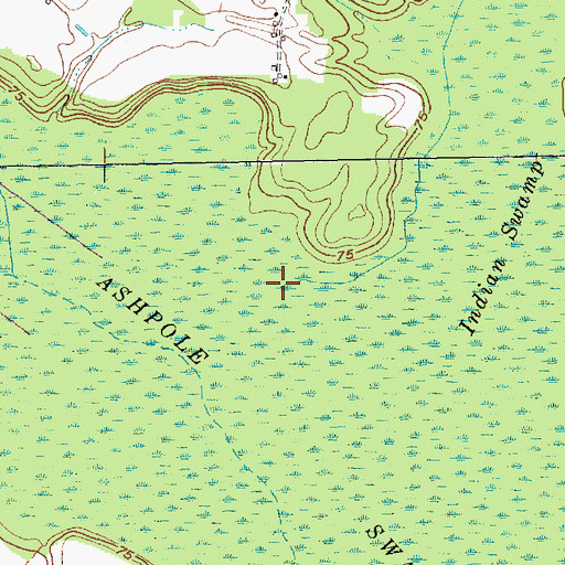 Topographic Map of Indian Swamp, NC