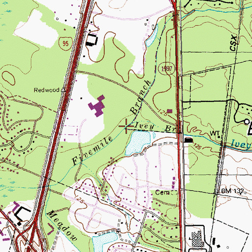 Topographic Map of Ivey Branch, NC