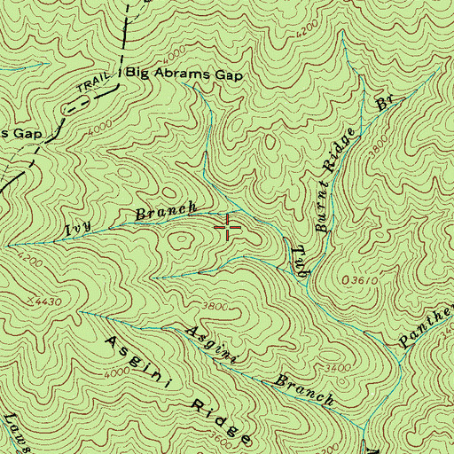 Topographic Map of Ivy Branch, NC