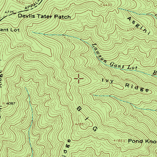 Topographic Map of Ivy Ridge, NC