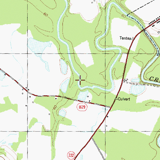 Topographic Map of Ivy Swamp, NC