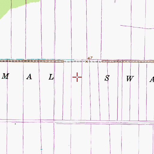 Topographic Map of J and W Dismal Swamp, NC