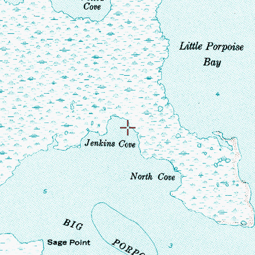 Topographic Map of Jenkins Cove, NC
