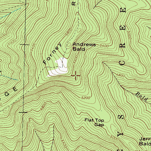 Topographic Map of Jerry Bald Ridge, NC