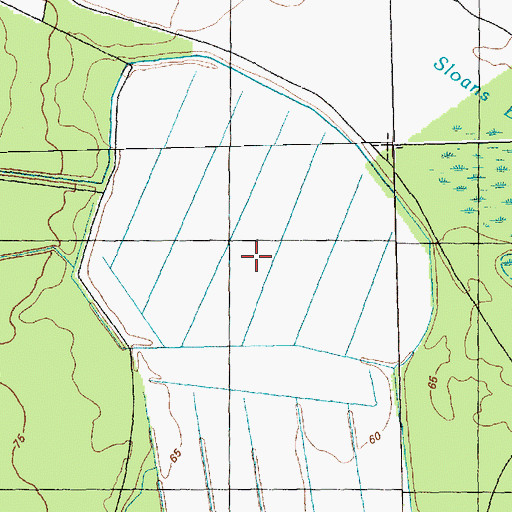 Topographic Map of Johns Swamp, NC