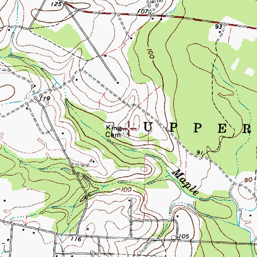 Topographic Map of King Cemetery, NC