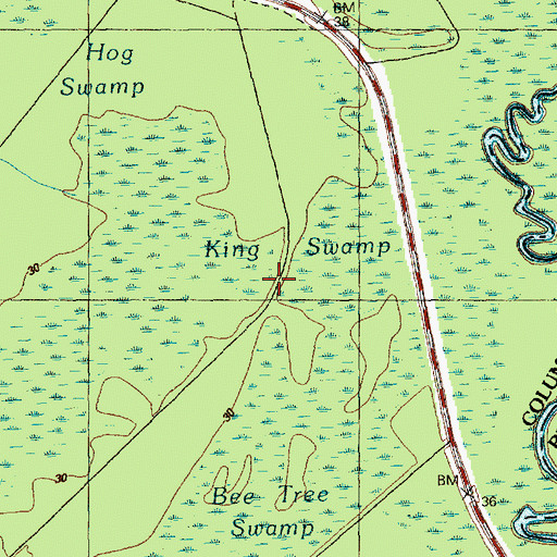 Topographic Map of King Swamp, NC
