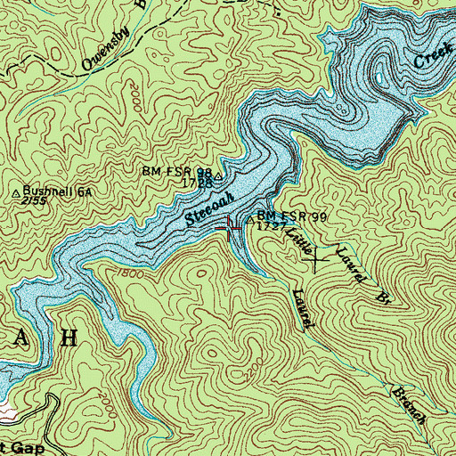 Topographic Map of Laurel Branch, NC