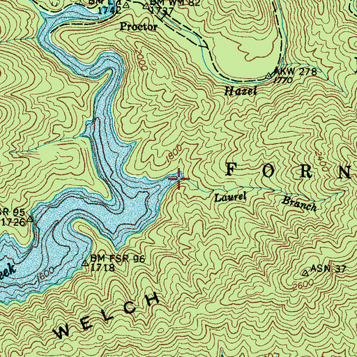 Topographic Map of Laurel Branch, NC