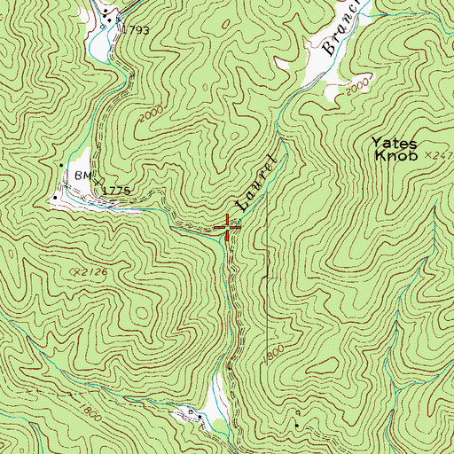 Topographic Map of Laurel Branch, NC
